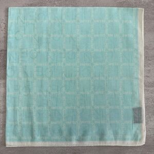 Celine Light Blue and White Scarf